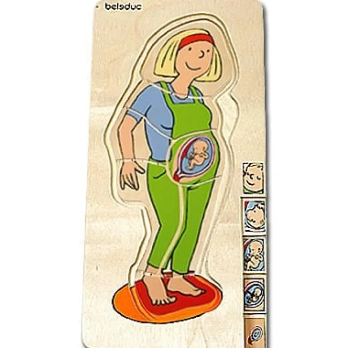 Anatomie - Mutter