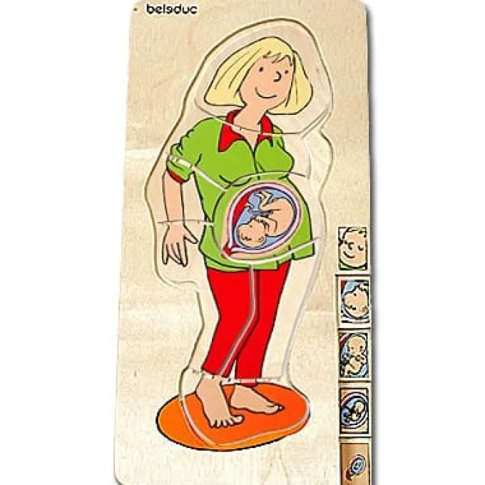 Anatomie - Mutter