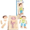 Anatomie Puzzle - kleiner Junge