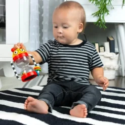 Baby Einstein - Aktivitätsrassel Cal