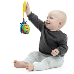 Baby Einstein - Anhänge zum Entdecken
