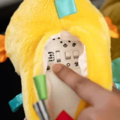 Baby Einstein - Seepferdchen mit Licht und Musik