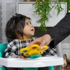 Baby Einstein - Seestern Aktivitätsspielzeug