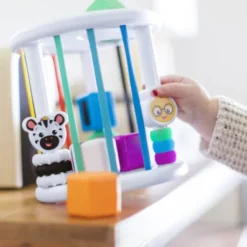 Baby Einstein - Steckspiel Sortierbox
