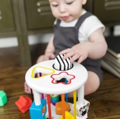 Baby Einstein - Steckspiel Sortierbox
