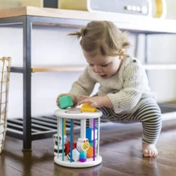 Baby Einstein - Steckspiel Sortierbox