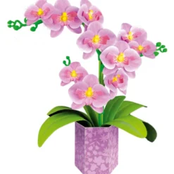 Baue eine Blume (Papier) - Orchidee
