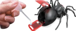 Bau eine salzwasserbetriebene Spinne