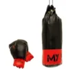 Boxsack mit Handschuhen - 1 kg.