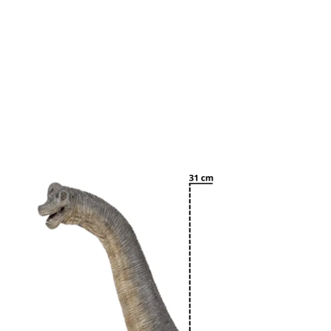 Brachiosaurus - L: 36 cm