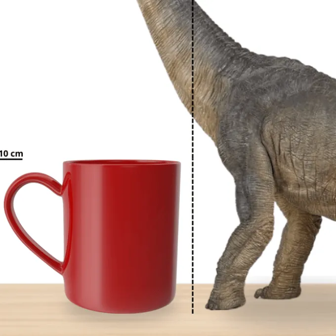 Brachiosaurus - L: 36 cm