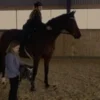 byASTRUP Steckenpferd – Schwarz „Thor“