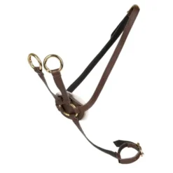 Cheval Roi - Martingal, braun/gold