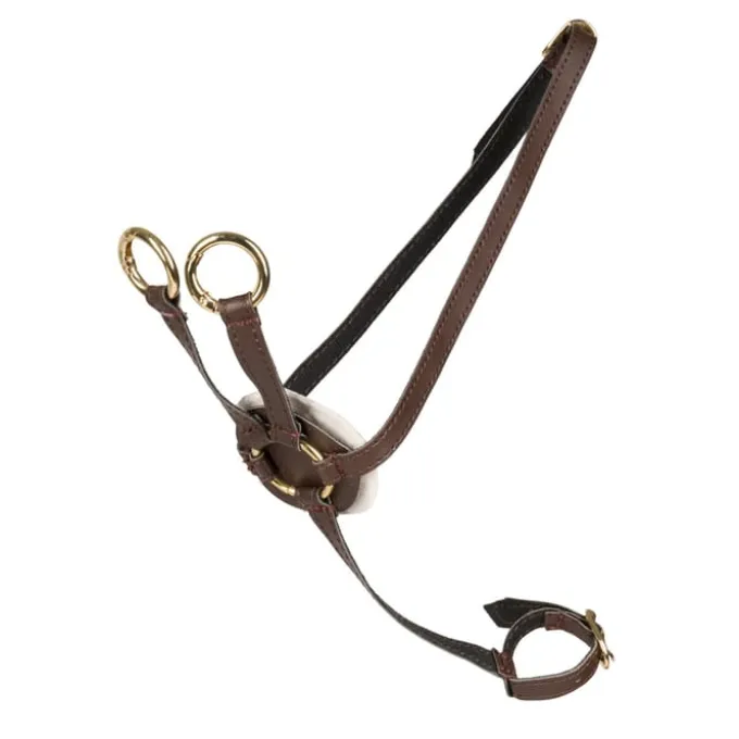 Cheval Roi - Martingal, braun/gold