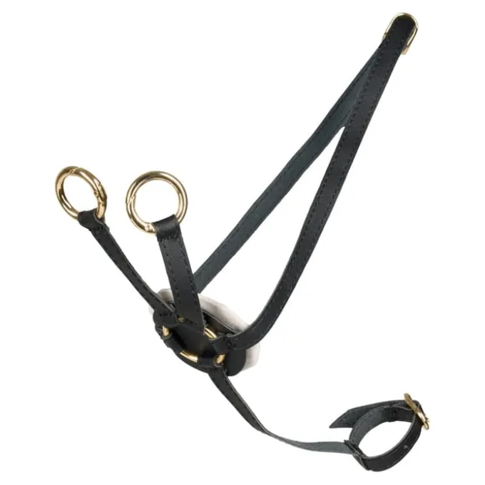 Cheval Roi - Martingal, schwarz/gold