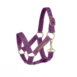 Cheval Roi Zubehör - Halfter, amethyst