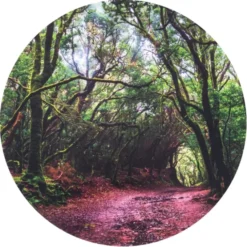 Discovery Spielmatte - Im Wald, Ø62,5 cm