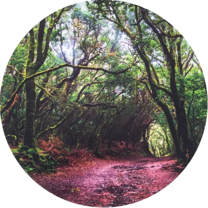 Discovery Spielmatte - Im Wald, Ø62,5 cm