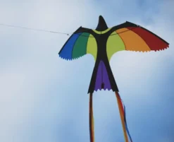 Drachen Paradiesvogel - 130 x 75 cm