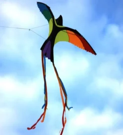 Drachen Paradiesvogel - 130 x 75 cm