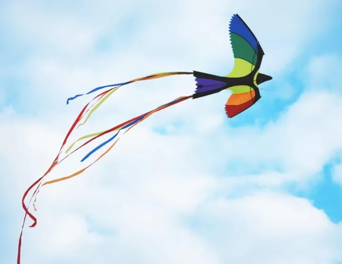 Drachen Paradiesvogel - 130 x 75 cm