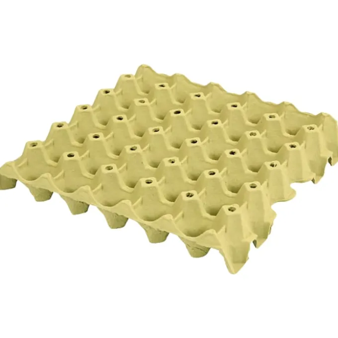Eierkarton für 30 Eier - 20 Stk.