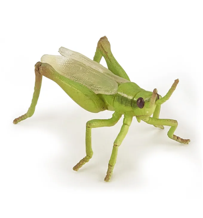 Grashüpfer (L: 6,5 cm)