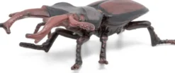 Hirschkäfer (L: 7 cm)