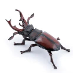 Hirschkäfer (L: 7 cm)