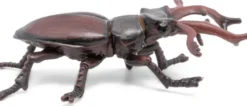 Hirschkäfer (L: 7 cm)