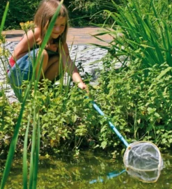 Insekten- und Fischnetz mit Teleskopstange