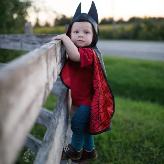 2-in-1 Spiderman/Batman Umhang