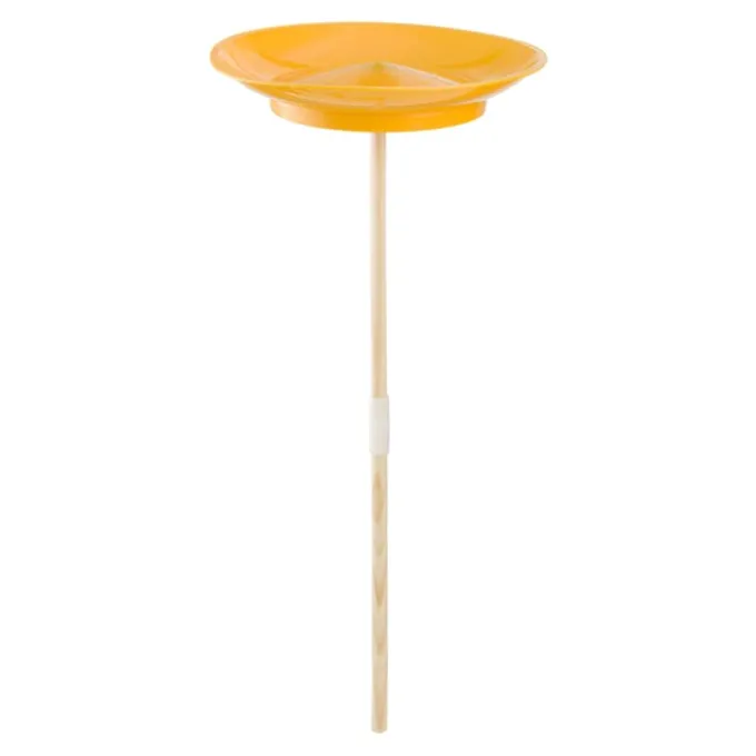 Jonglierteller