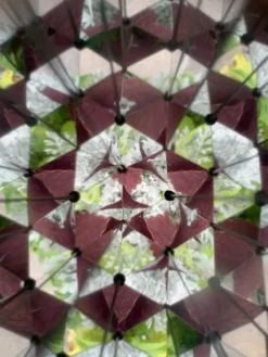 Kaleidoskop für Naturschätze