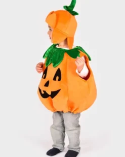 Kürbis, 2-4 Jahre