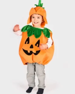Kürbis, 2-4 Jahre
