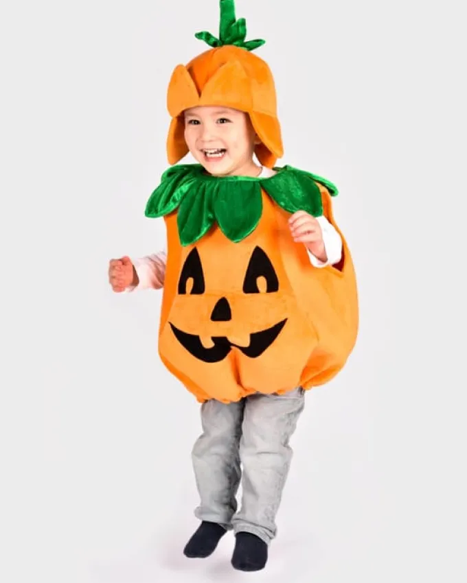 Kürbis, 2-4 Jahre