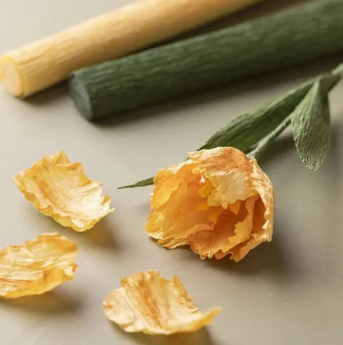 Krepppapier Bastelset - Frühlingsblumen