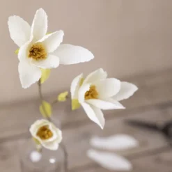 Krepppapier Bastelset Mini - Magnolie
