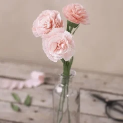 Krepppapier, 8 x 25x60 cm - lila/pink