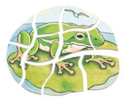 Lagenpuzzle - Frosch