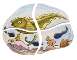 Lagenpuzzle - Frosch