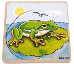 Lagenpuzzle - Frosch