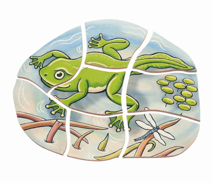 Lagenpuzzle - Frosch