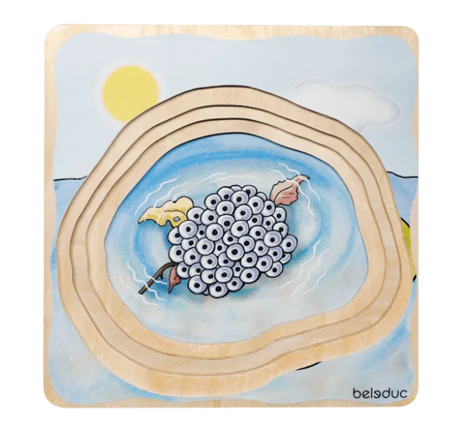 Lagenpuzzle - Frosch