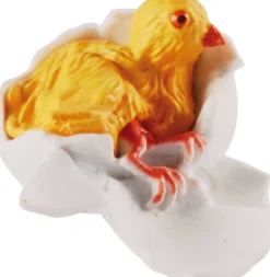 Lebenszyklus - Vom Ei zum Huhn