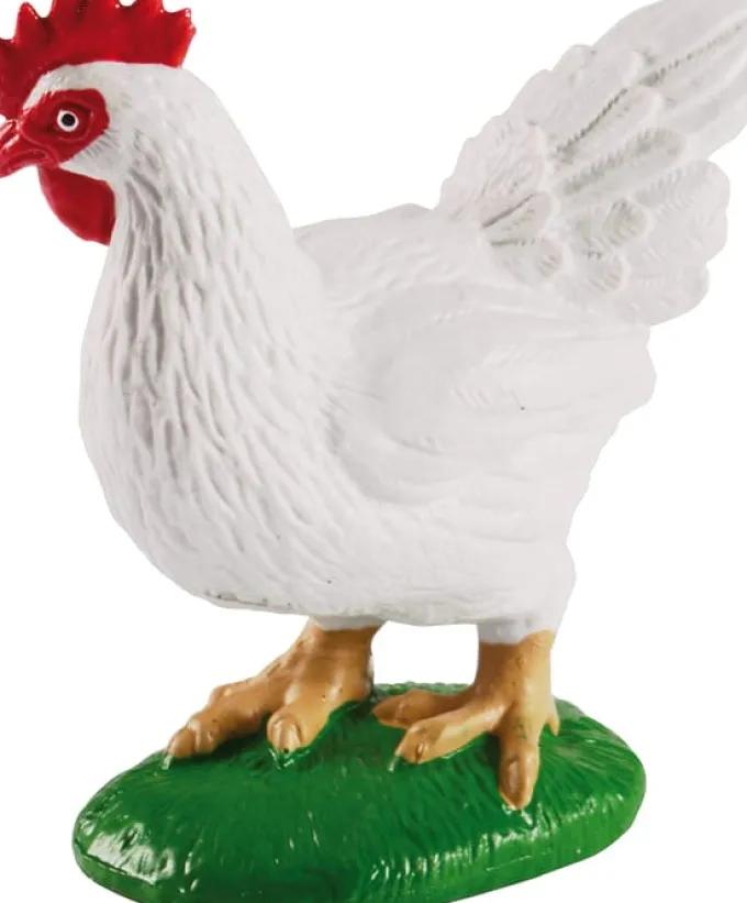 Lebenszyklus - Vom Ei zum Huhn