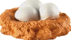 Lebenszyklus - Vom Ei zum Huhn