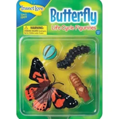 Lebenszyklus - Vom Ei zum Schmetterling