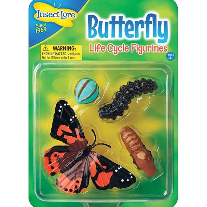 Lebenszyklus - Vom Ei zum Schmetterling